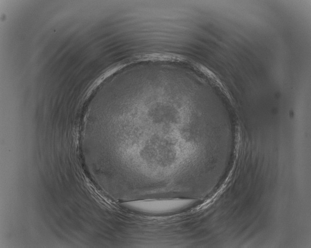 X0000084561017200703091739