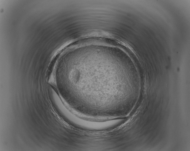 X0000084561018200703091739