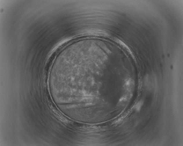 X0000084561019200703091739