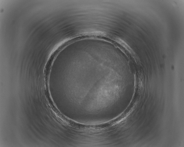 X0000084561022200703091740