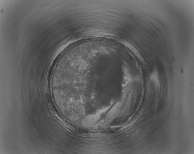 X0000084561023200703091740