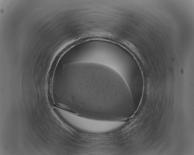 X0000084561024200703091740