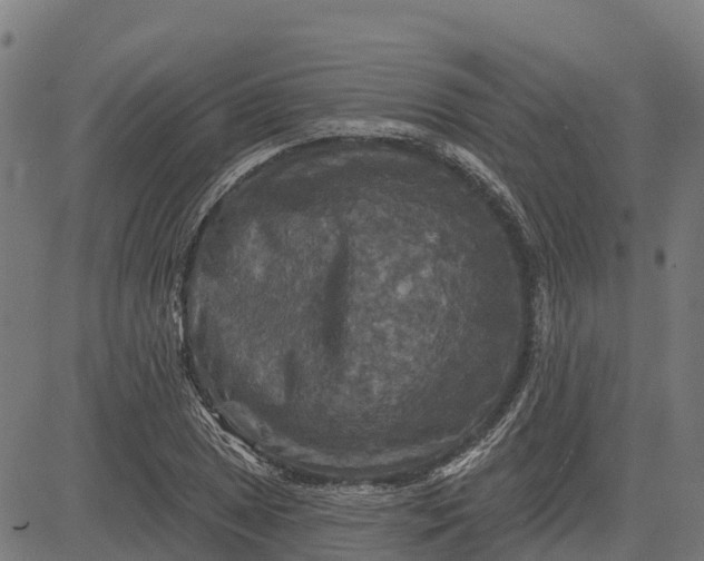 X0000084561025200703091740