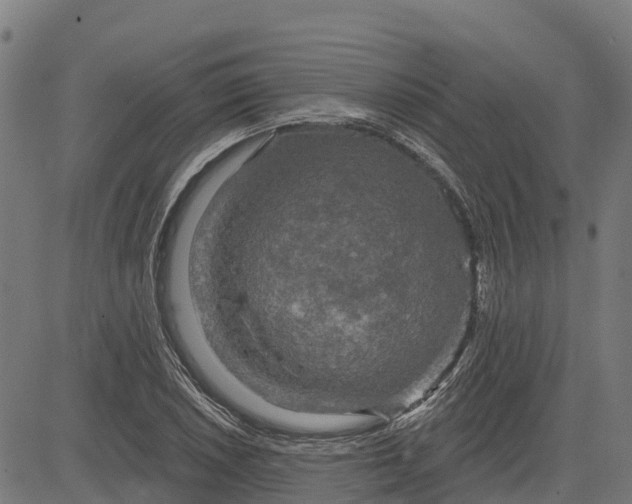 X0000084561026200703091740