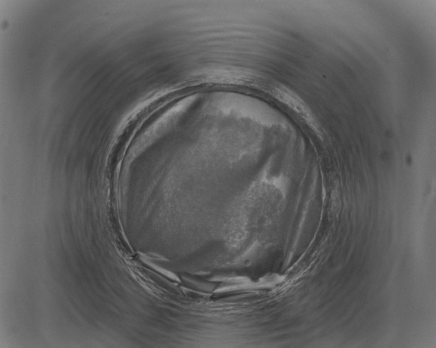 X0000084561027200703091740