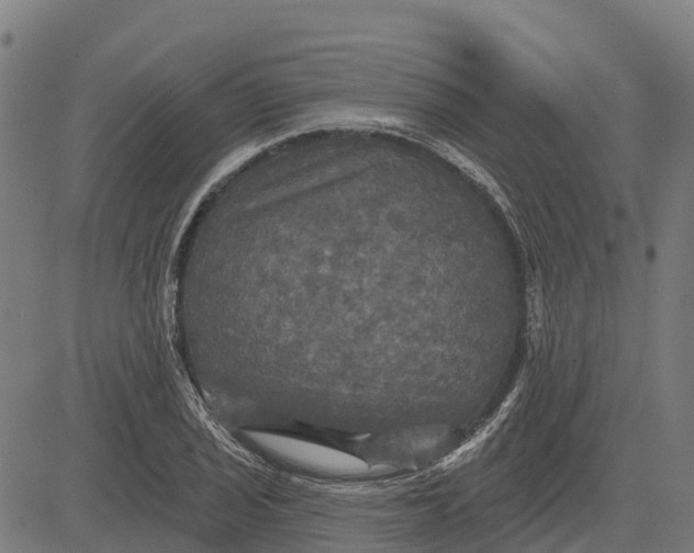 X0000084561029200703091740