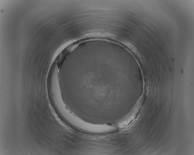 X0000084561030200703091740