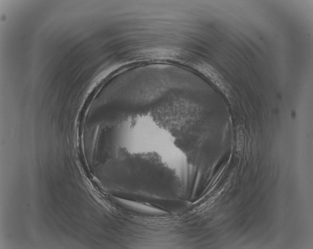 X0000084561031200703091740