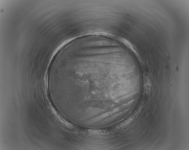 X0000084561032200703091740