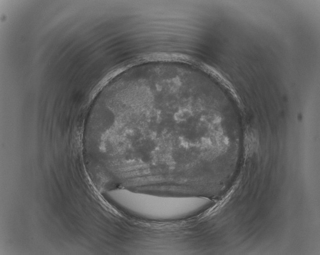 X0000084561033200703091740