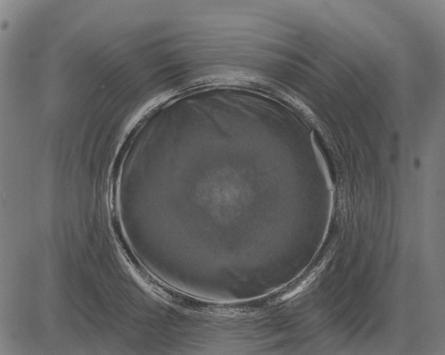 X0000084561034200703091740