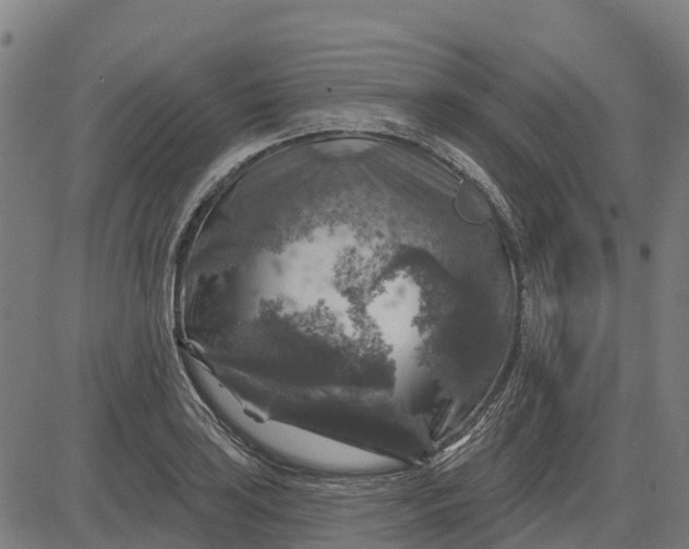 X0000084561035200703091740