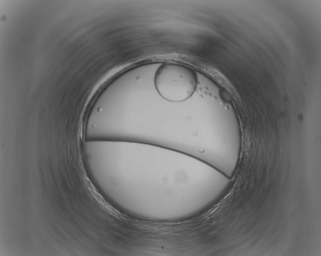 X0000084561036200703091740