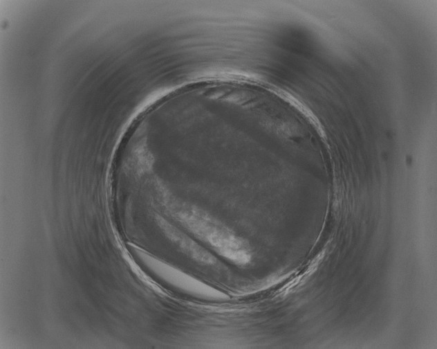 X0000084561037200703091740