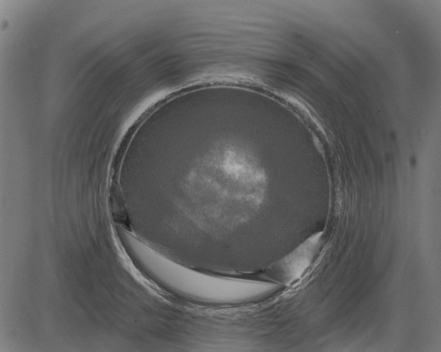 X0000084561038200703091740