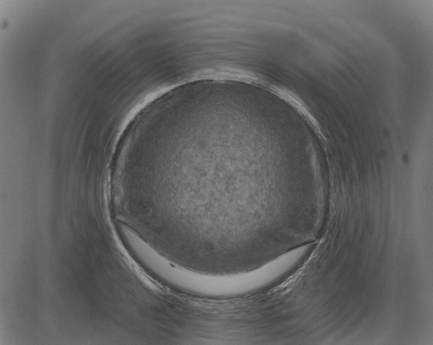 X0000084561040200703091740