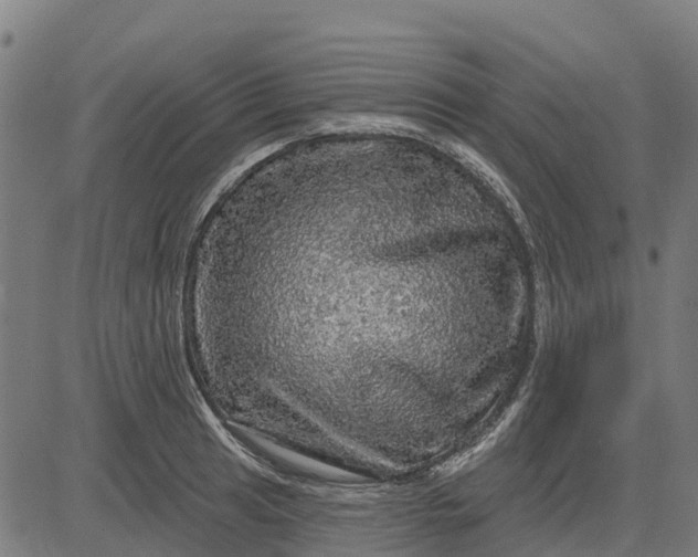 X0000084561041200703091740