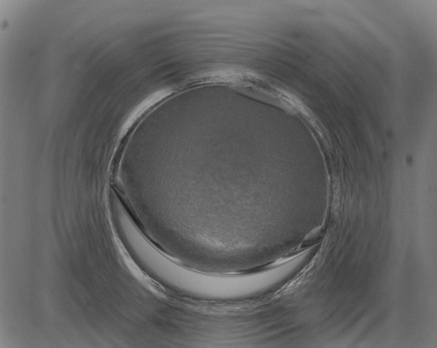 X0000084561042200703091740