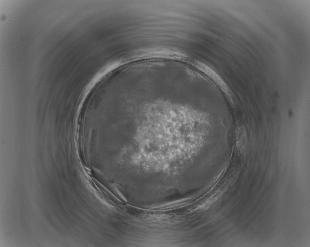 X0000084561043200703091740