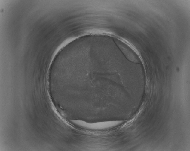 X0000084561045200703091740