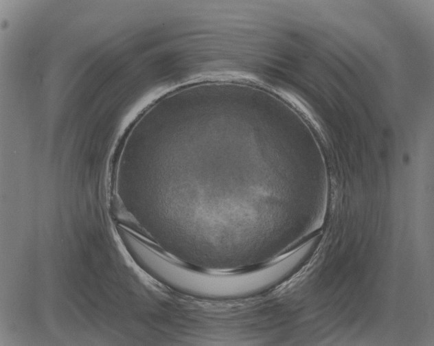 X0000084561046200703091740