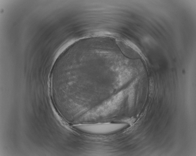 X0000084561047200703091740