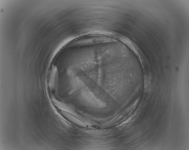 X0000084561048200703091740