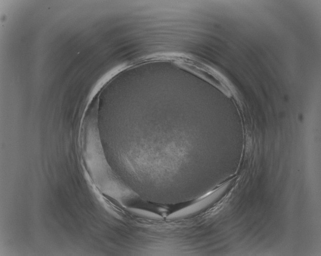 X0000084561050200703091740