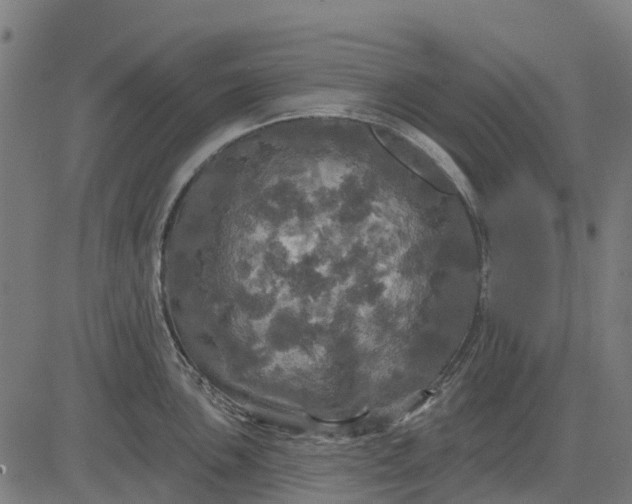 X0000084561051200703091740