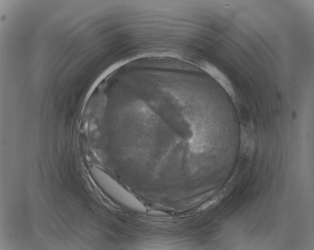 X0000084561052200703091740