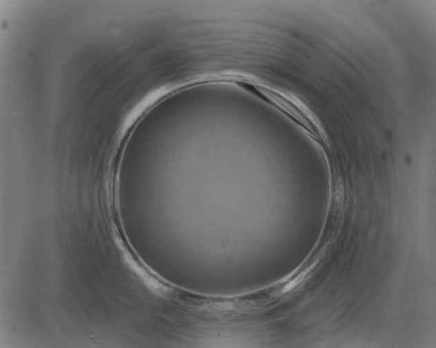 X0000084561054200703091740