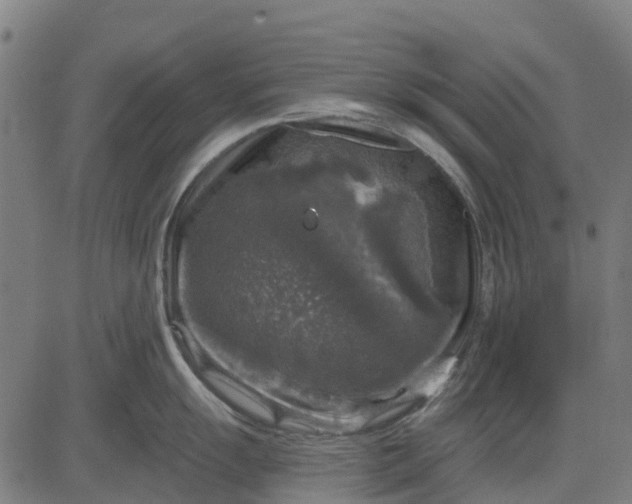 X0000084561055200703091740