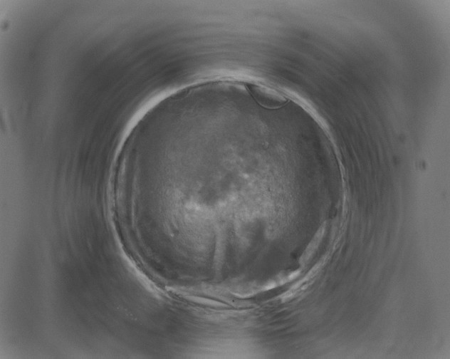 X0000084561056200703091740