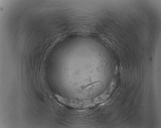 X0000084561057200703091739