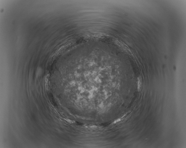 X0000084561059200703091739