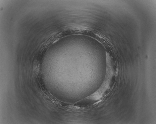 X0000084561061200703091739