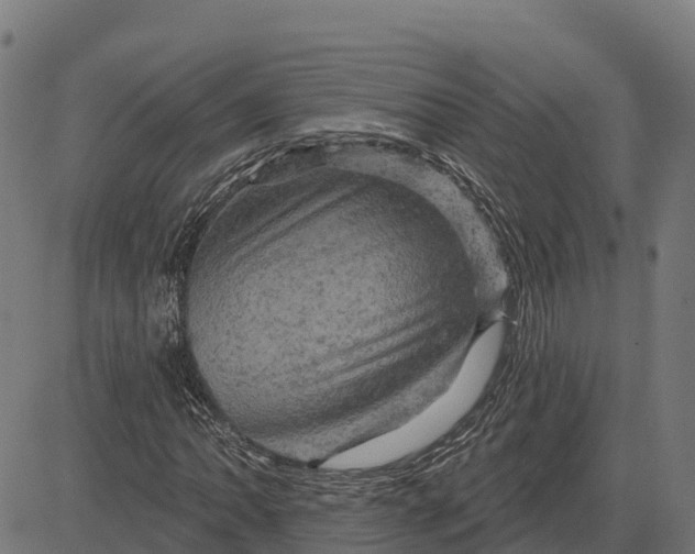 X0000084561062200703091739