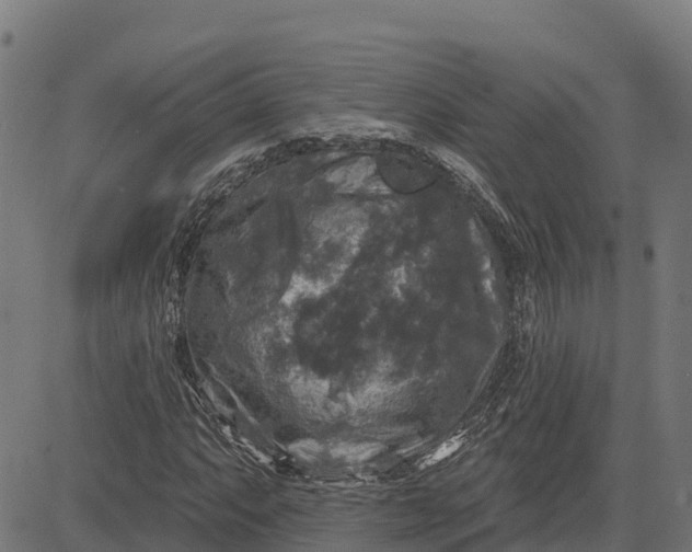 X0000084561063200703091739