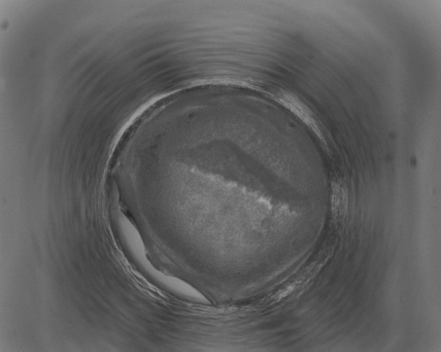 X0000084561068200703091739