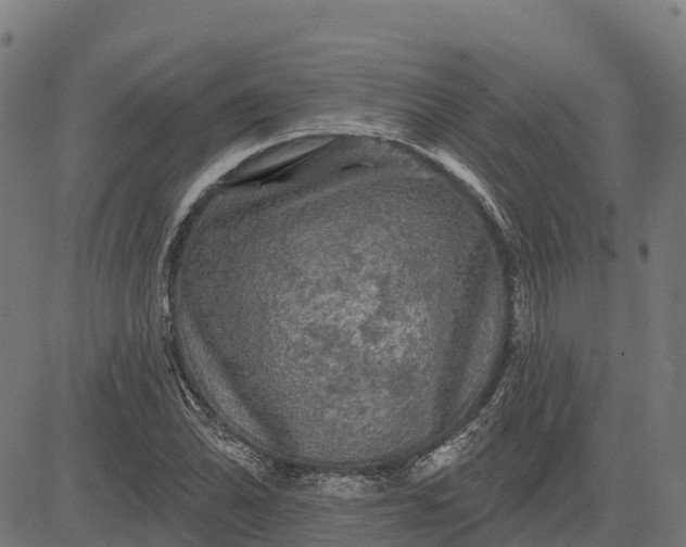 X0000084561070200703091739