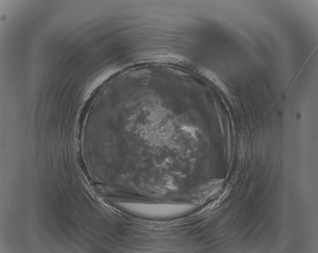 X0000084561071200703091739