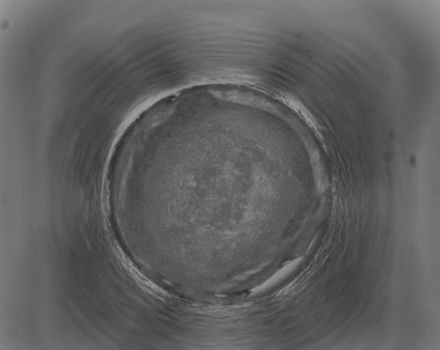 X0000084561072200703091739