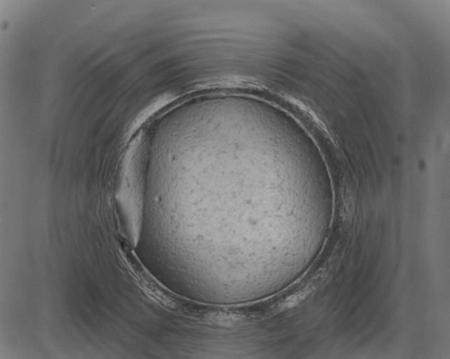 X0000084561073200703091739