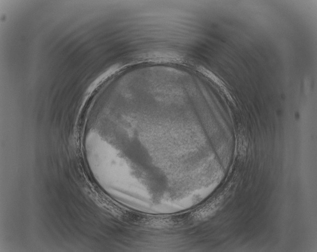 X0000084561074200703091739