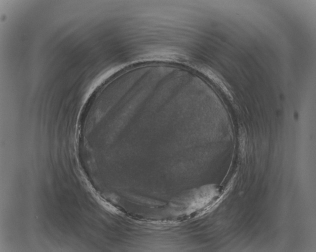 X0000084561077200703091739