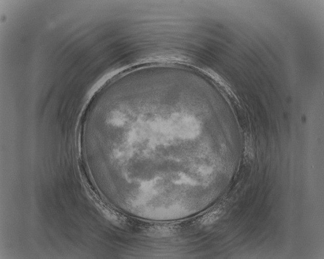 X0000084561078200703091739