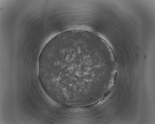 X0000084561079200703091739