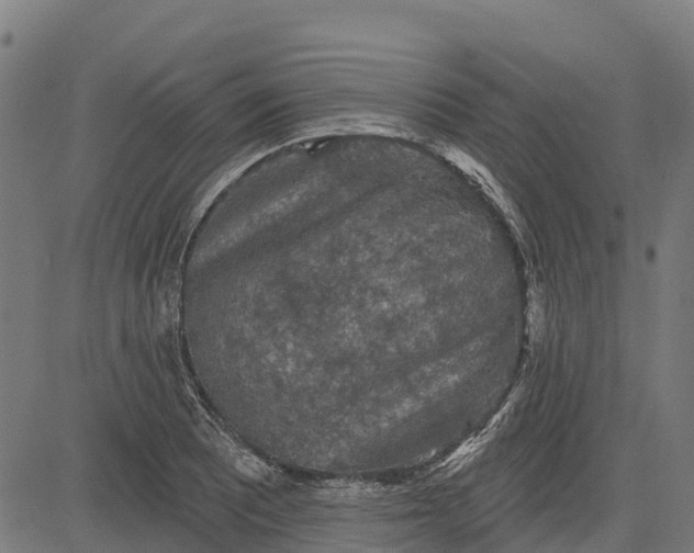 X0000084561081200703091739