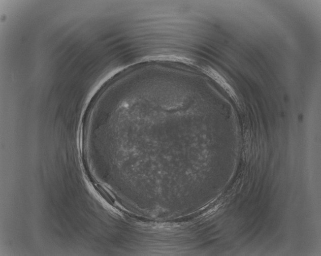 X0000084561084200703091739