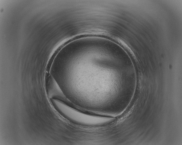 X0000084561085200703091739